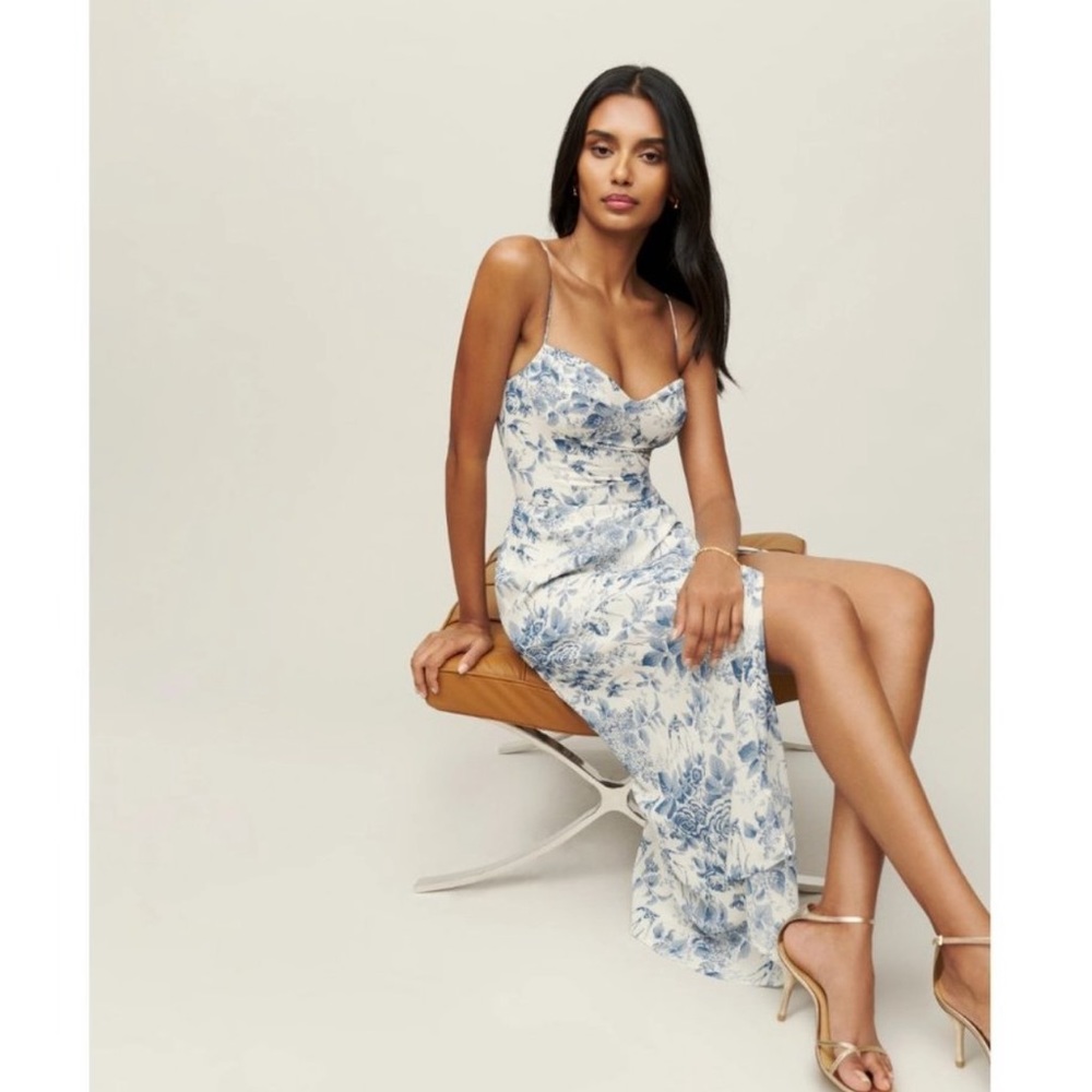 Reformation Kourtney Dress in Pampadour